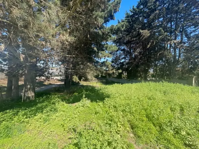 Sitio SE VENDE TERRENO EN LOS PINOS, REÑACA (CÓD. 537)