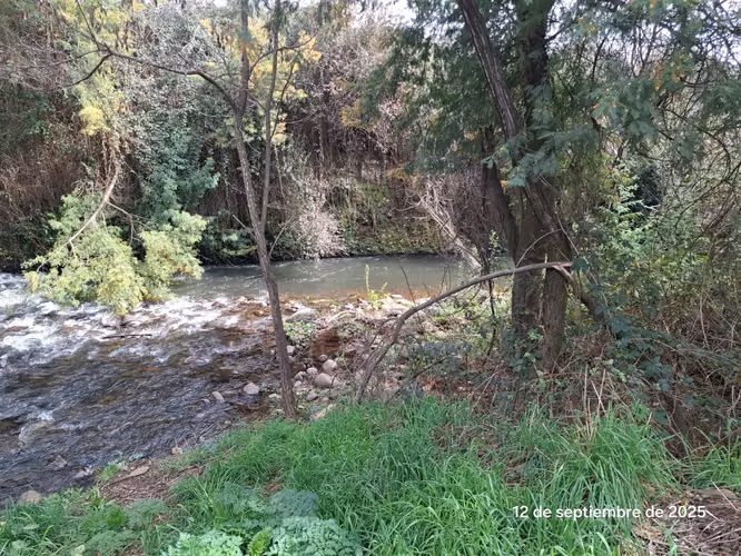 EN VENTA HERMOSA PARCELA EN COIHUECO, SECTOR LAS PATAGUAS