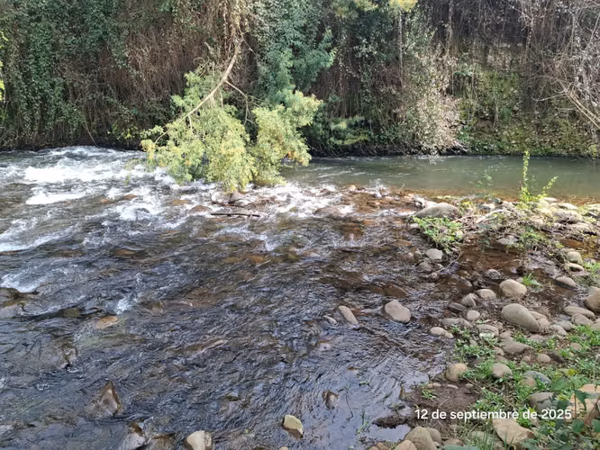 EN VENTA HERMOSA PARCELA EN COIHUECO, SECTOR LAS PATAGUAS