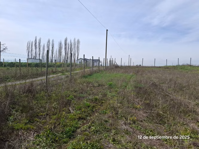 EN VENTA HERMOSA PARCELA EN COIHUECO, SECTOR LAS PATAGUAS