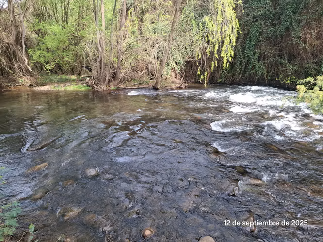 EN VENTA HERMOSA PARCELA EN COIHUECO, SECTOR LAS PATAGUAS