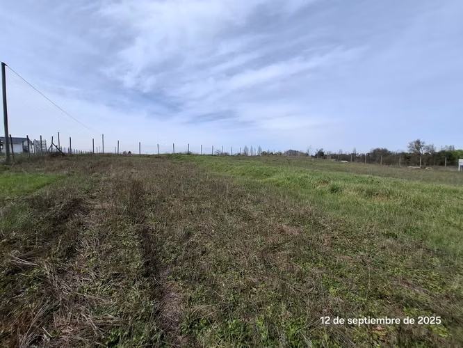 EN VENTA HERMOSA PARCELA EN COIHUECO, SECTOR LAS PATAGUAS