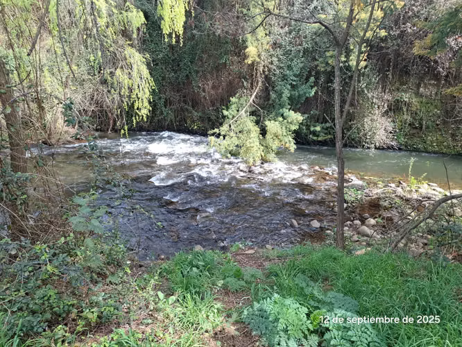 EN VENTA HERMOSA PARCELA EN COIHUECO, SECTOR LAS PATAGUAS