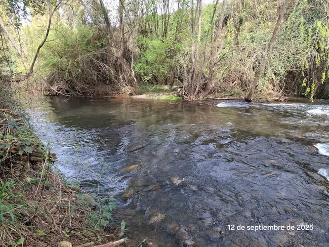 EN VENTA HERMOSA PARCELA EN COIHUECO, SECTOR LAS PATAGUAS