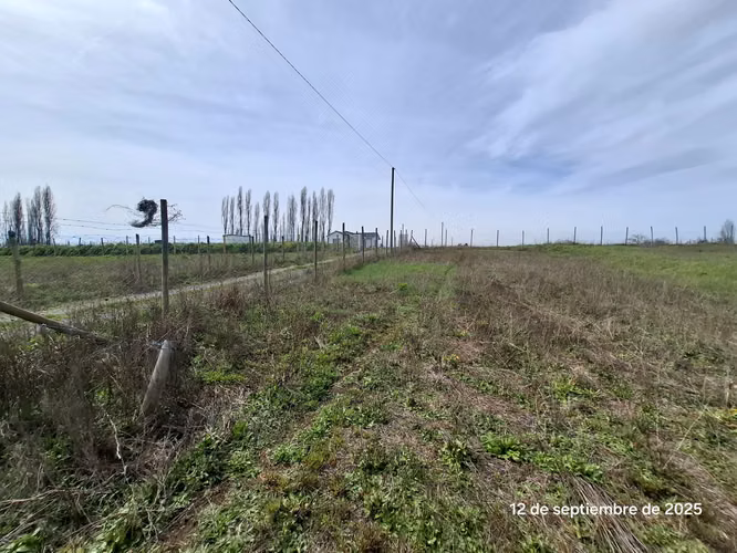 EN VENTA HERMOSA PARCELA EN COIHUECO, SECTOR LAS PATAGUAS