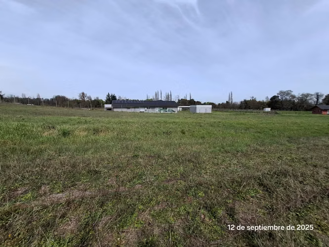 EN VENTA HERMOSA PARCELA EN COIHUECO, SECTOR LAS PATAGUAS