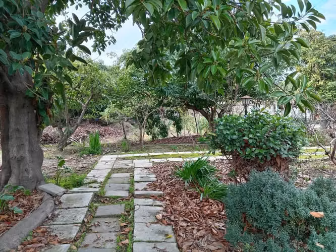 Venta de Terreno en La Cruz