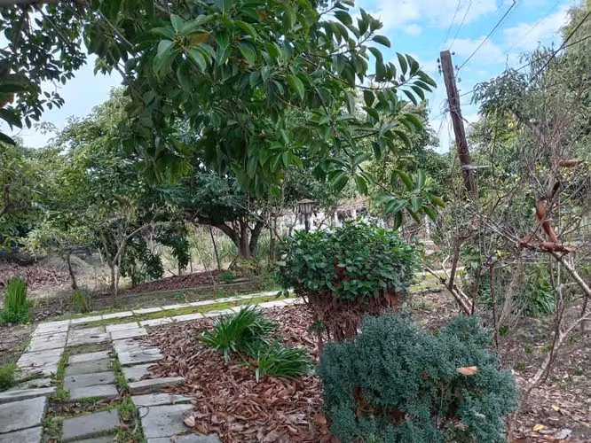 Venta de Terreno en La Cruz