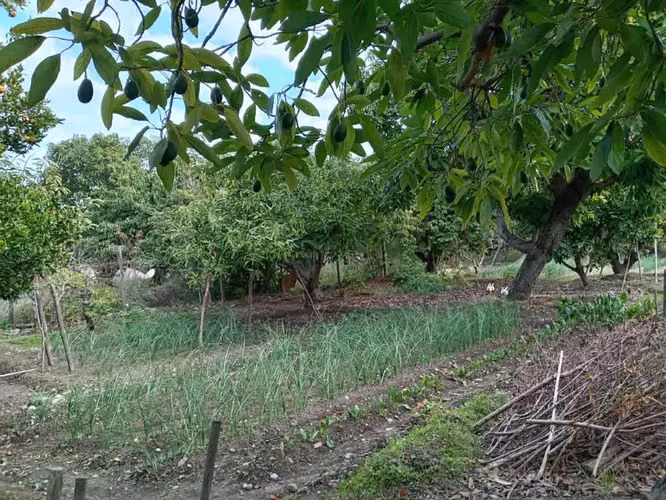 Venta de Terreno en La Cruz