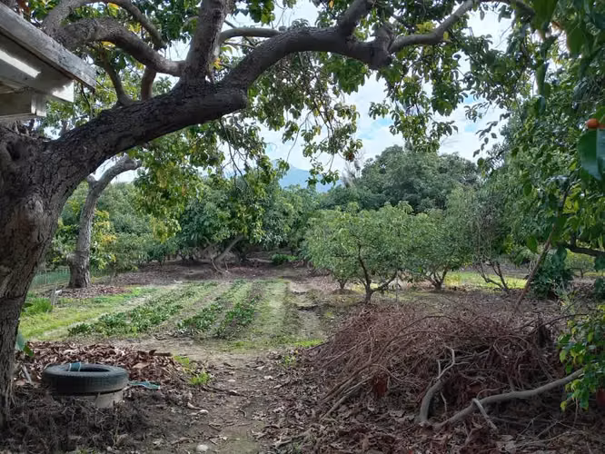 Venta de Terreno en La Cruz
