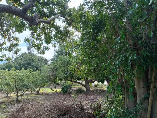 Venta de Terreno en La Cruz