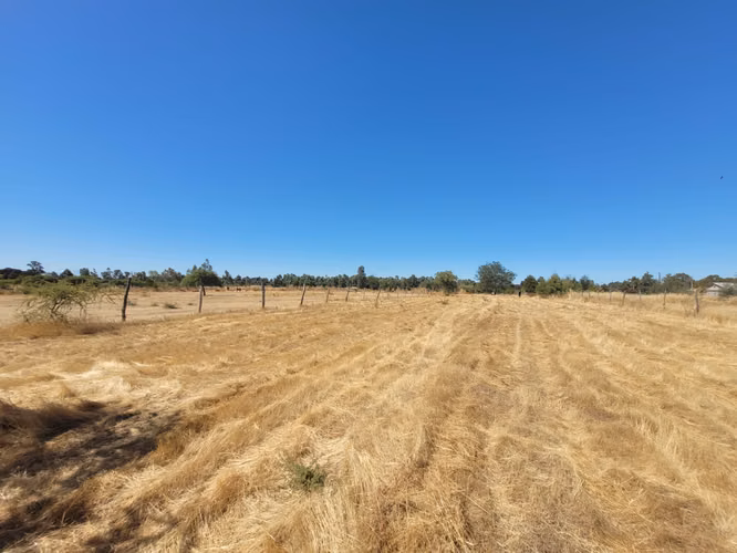 EN VENTA PARCELA EN SECTOR JUNQUILLO, SAN CARLOS