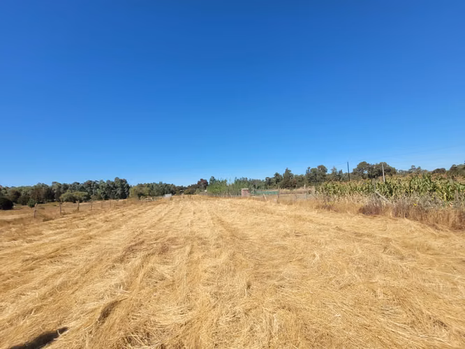 EN VENTA PARCELA EN SECTOR JUNQUILLO, SAN CARLOS
