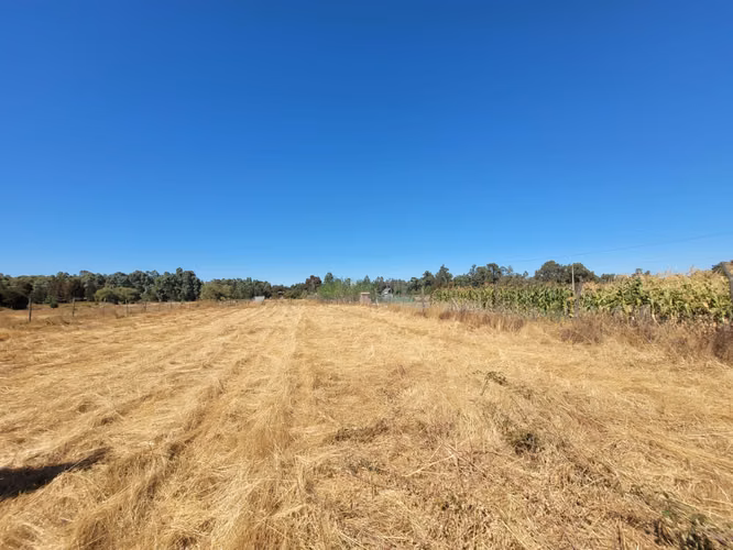 EN VENTA PARCELA EN SECTOR JUNQUILLO, SAN CARLOS