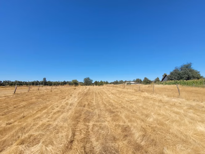 EN VENTA PARCELA EN SECTOR JUNQUILLO, SAN CARLOS