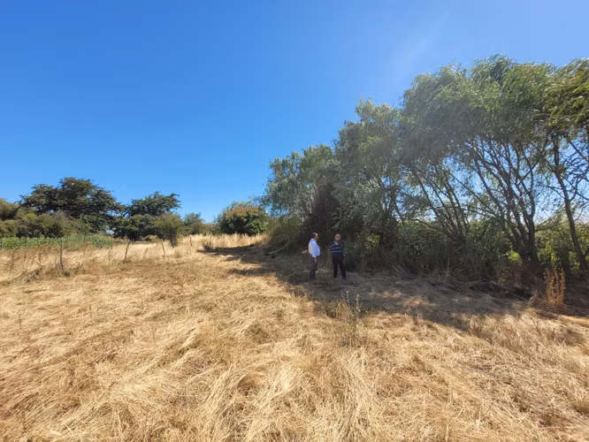 EN VENTA PARCELA EN SECTOR JUNQUILLO, SAN CARLOS