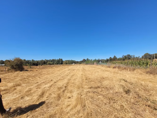 EN VENTA PARCELA EN SECTOR JUNQUILLO, SAN CARLOS