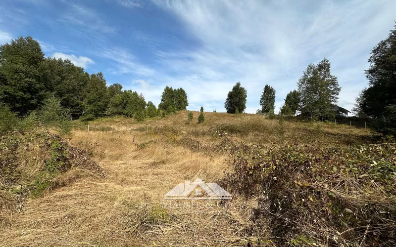 Atractiva Parcela en venta en Villarrica sector Conquil