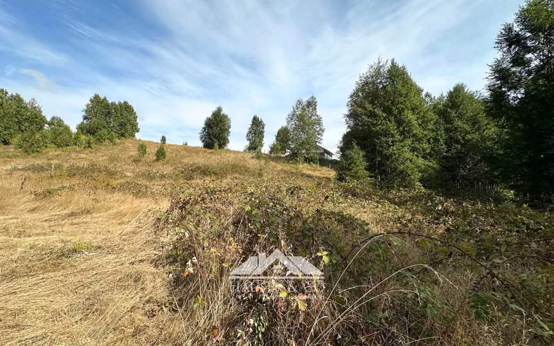Atractiva Parcela en venta en Villarrica sector Conquil