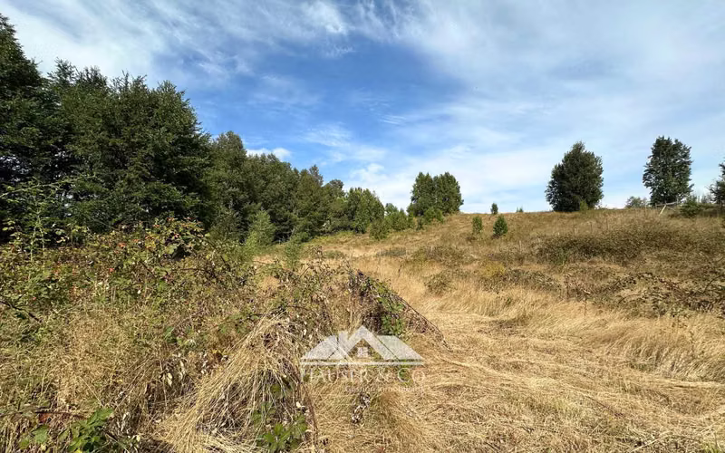 Atractiva Parcela en venta en Villarrica sector Conquil