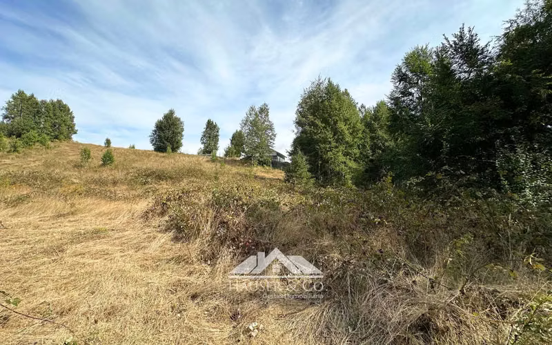 Atractiva Parcela en venta en Villarrica sector Conquil