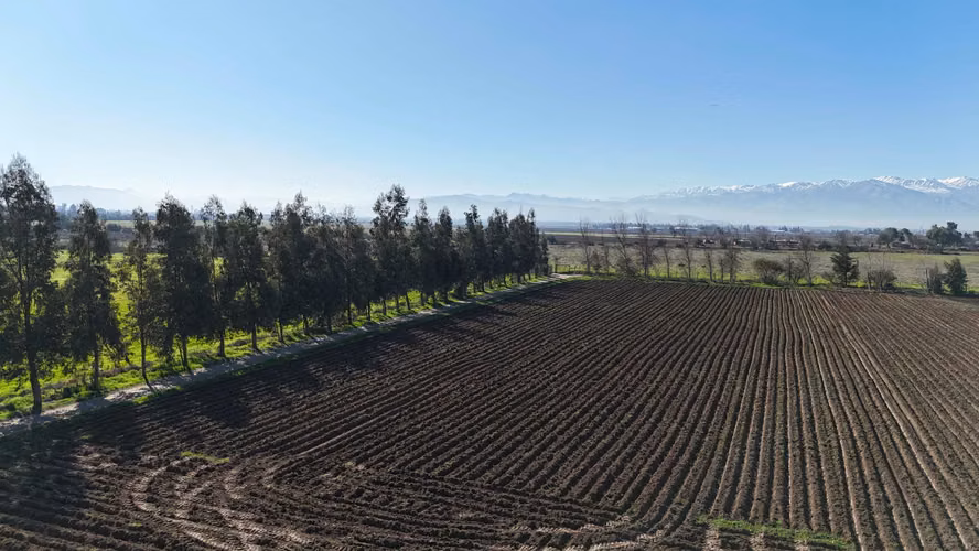 PROYECTO EN VENTA DE PARCELAS DE AGRADO