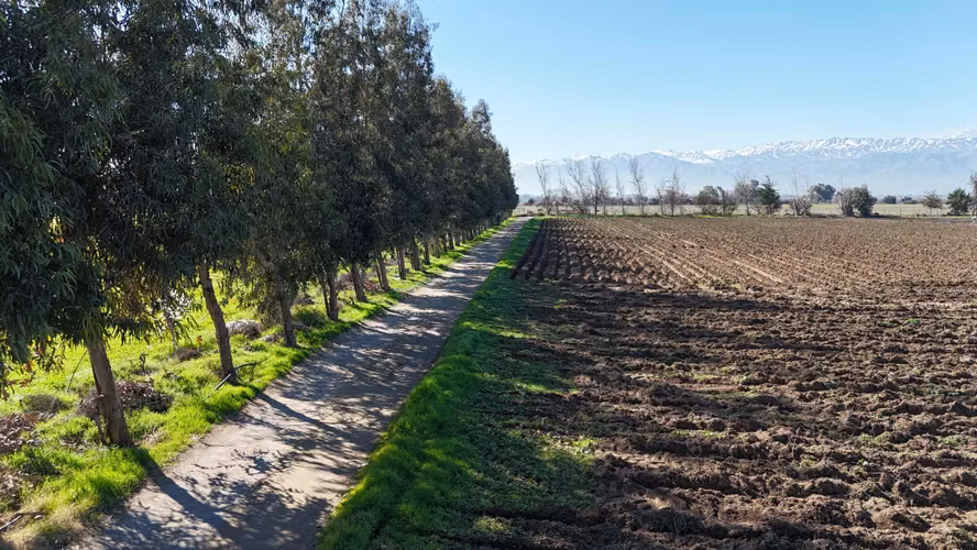 PROYECTO EN VENTA DE PARCELAS DE AGRADO