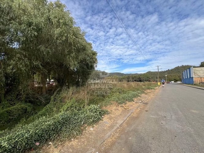 10.000 MT2 CON 186 MTS DE FRENTE RUTA 150 HACIA CCP