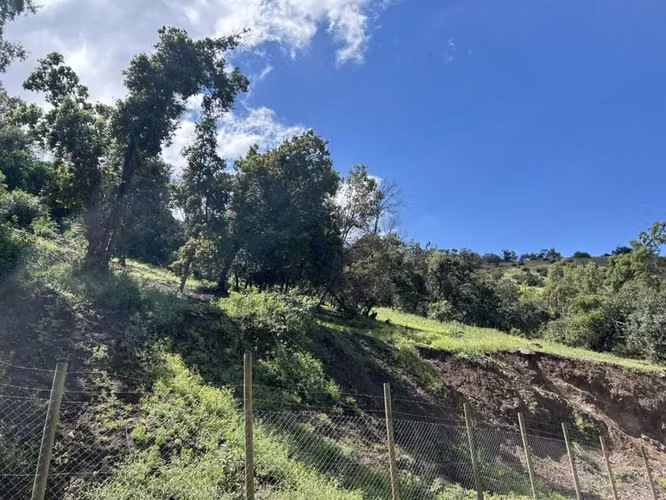 Terreno en venta/ Vitacura (120096)