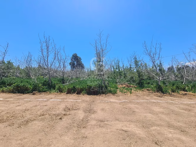 Sitio Colina - Chicureo