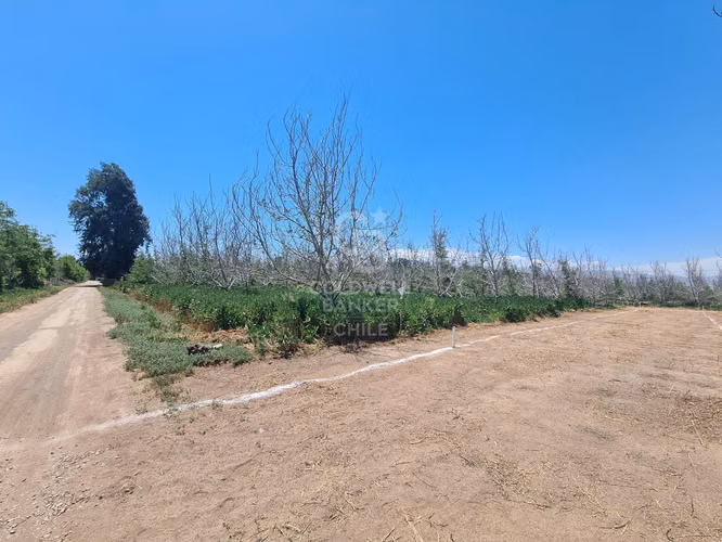 Sitio Colina - Chicureo