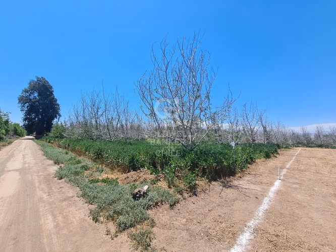 Sitio Colina - Chicureo