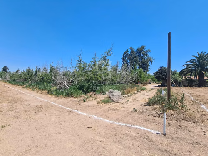 Sitio Colina - Chicureo