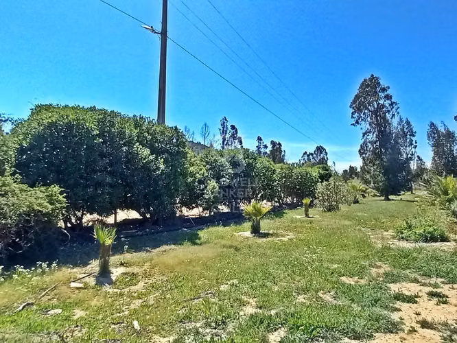 ¡Tu Refugio Natural en Foresta Zapallar! !Gran oportunidad!