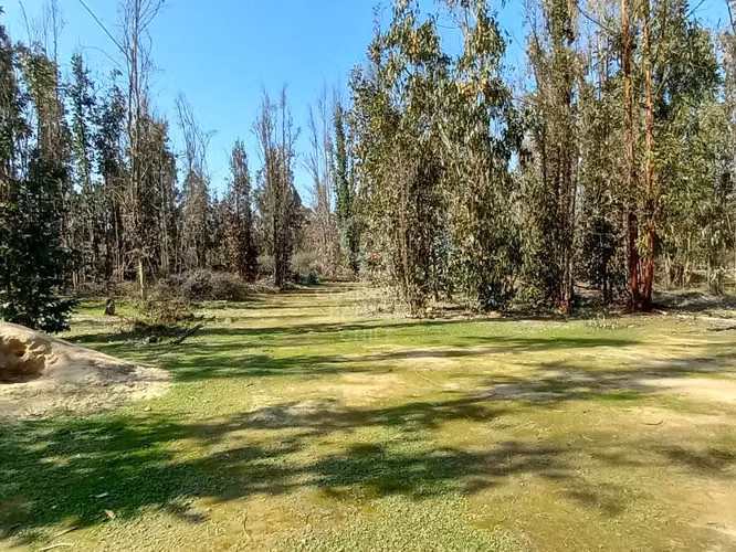 ¡Tu Refugio Natural en Foresta Zapallar! !Gran oportunidad!