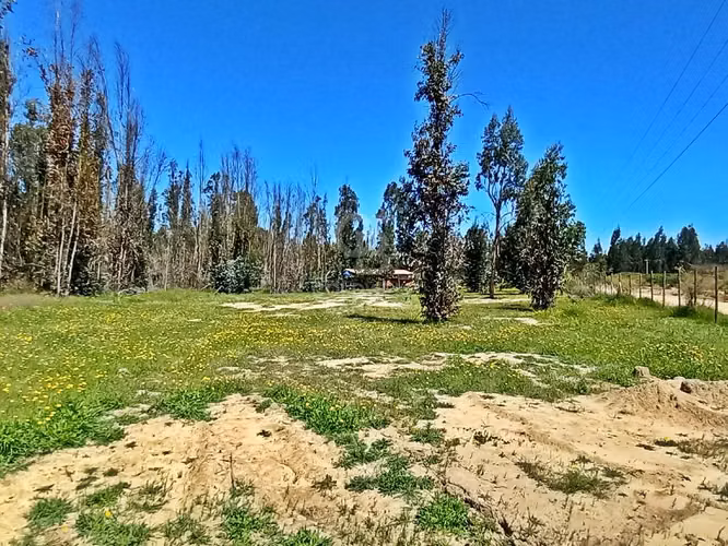 ¡Tu Refugio Natural en Foresta Zapallar! !Gran oportunidad!