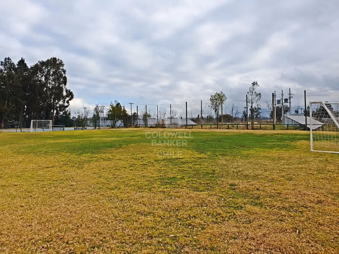 ¡Tu Refugio Natural en Foresta Zapallar! !Gran oportunidad!
