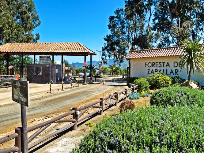¡Tu Refugio Natural en Foresta Zapallar! !Gran oportunidad!