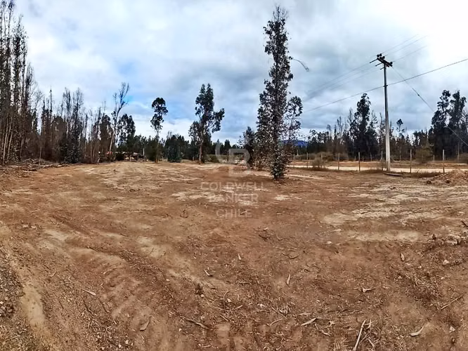 ¡Tu Refugio Natural en Foresta Zapallar! !Gran oportunidad!