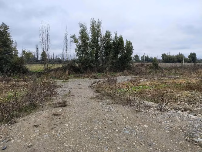 Parcelas en San javier