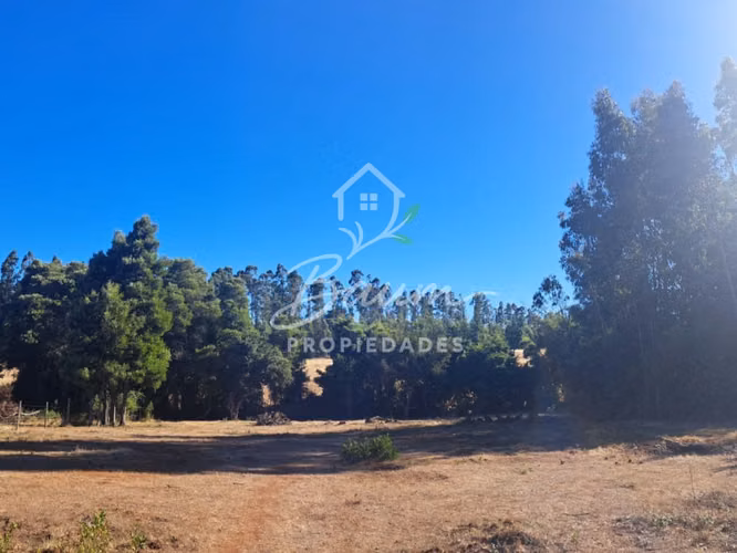 Venta de casa en Cardonal de Panilonco PICHILEMU