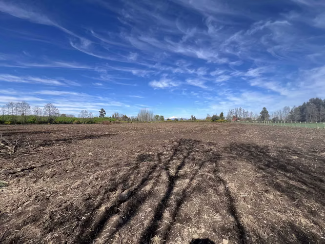 Arriendo terreno agricola, sector las tijeras