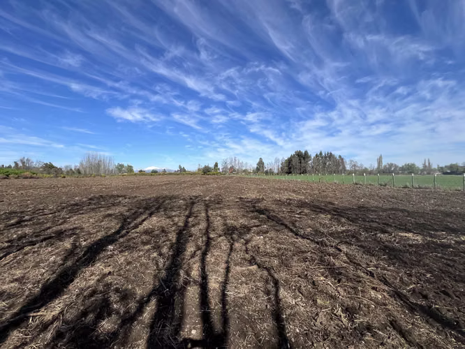 Arriendo terreno agricola, sector las tijeras