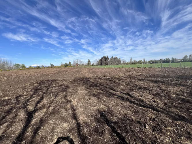 Arriendo terreno agricola, sector las tijeras