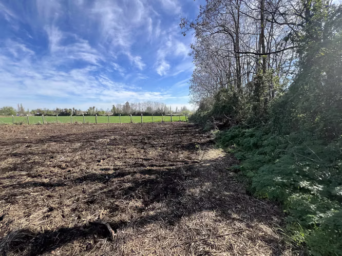 Arriendo terreno agricola, sector las tijeras