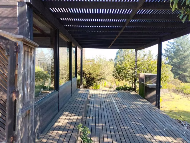 Algarrobo (120519) - Imagen 7