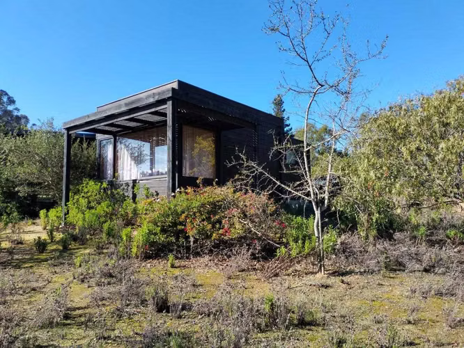 Algarrobo (120519) - Imagen 8