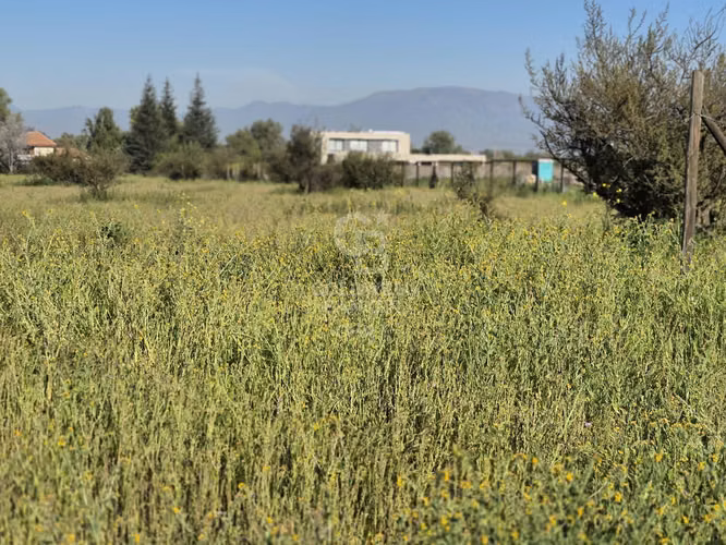 Condominio Polo Manquehue I - No perimetral - Chicureo