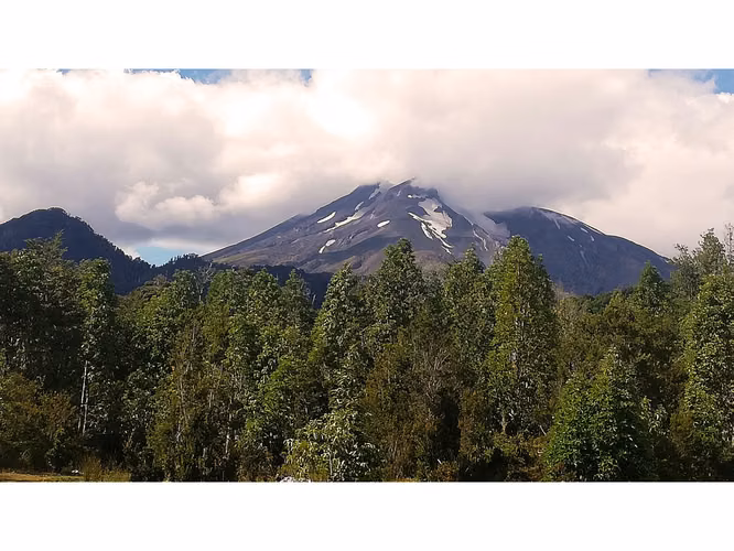 Proyecto en Verde BOSQUE DEL RIO – Puerto Varas