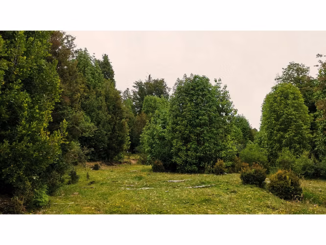 Proyecto en Verde BOSQUE DEL RIO – Puerto Varas
